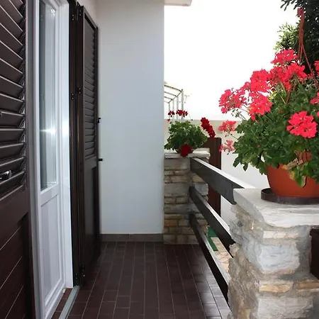 Apartmán Jelica